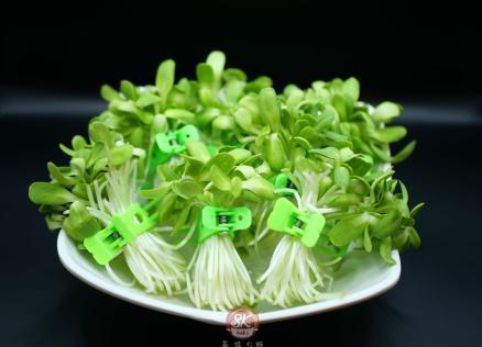ต้นอ่อนทานตะวัน — เมนูผักสด 蔬菜 จากเมนู SKsuki