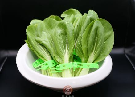 ผักกวางตุ้ง — เมนูผักสด 蔬菜 จากเมนู SKsuki